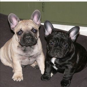 Meet your Posher, Ashlynn